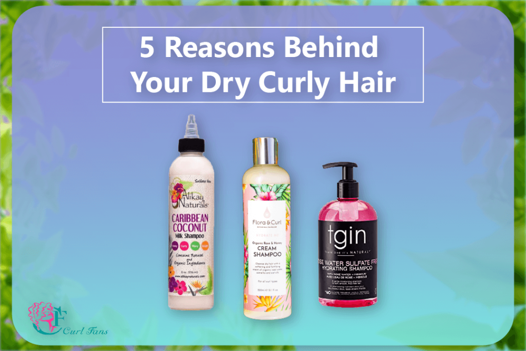 5 Reasons Behind Your Dry Curly Hair - CurlFans - CurlyHair