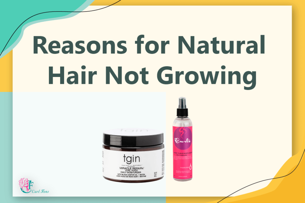 Reasons-for-Natural-Hair-Not-Growing-CurlFans-CurlyHair