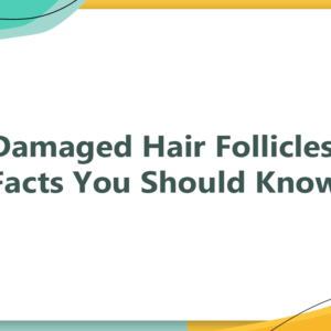 Damaged Hair Follicles - Facts You Should know