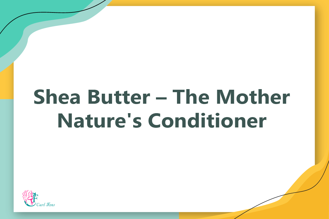 Shea Butter – The Mother Nature's Conditioner