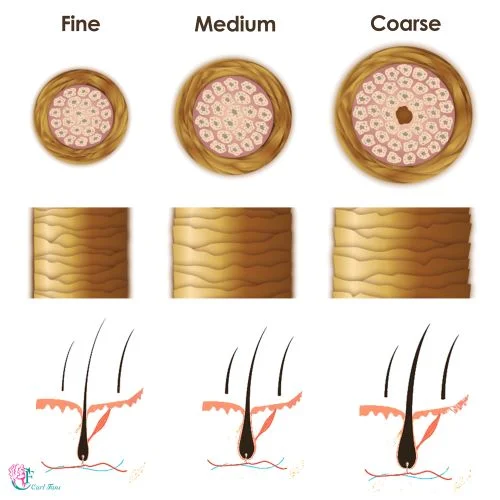 Hair Diameter/ Texture Figure