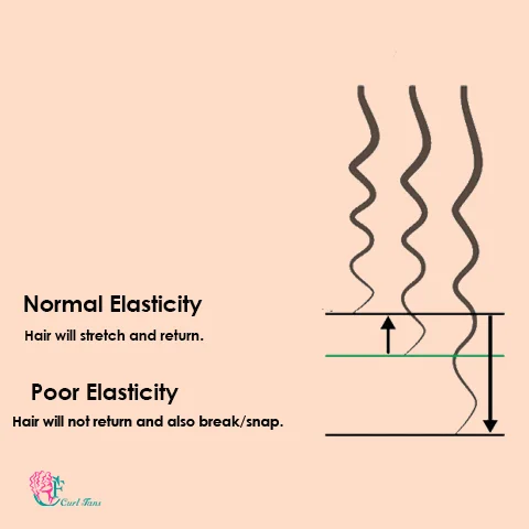 Hair Elasticity